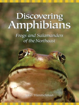 cover image of Discovering Amphibians: Frogs and Salamanders of the Northeast